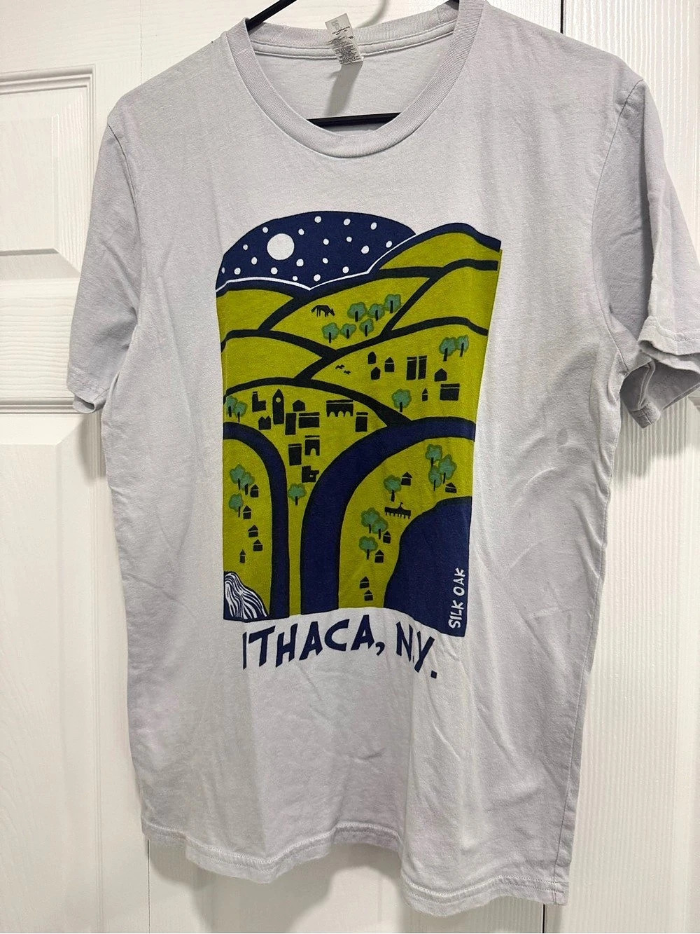 Raglan? Ithaca, NY Graphic Tee in White Size Medium